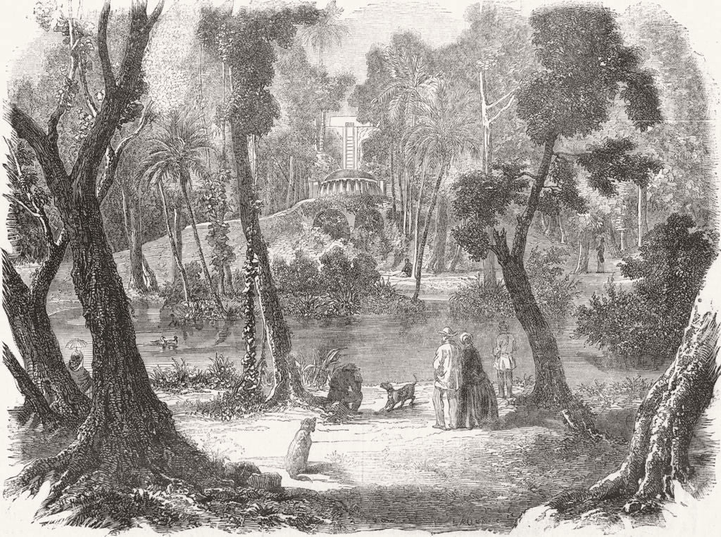 MARTINIQUE. New Botanical Gdns, St Pierre 1860 old antique print picture